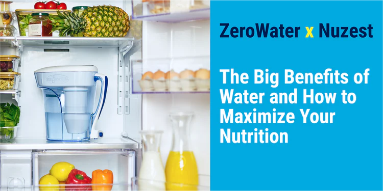 The Big Benefits of Water and How to Maximize Your Nutrition: ZeroWater x Nuzest